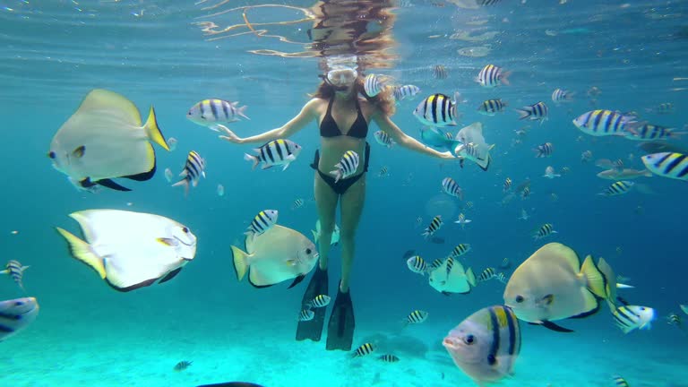 A Beginner’s Guide to Snorkeling Gear Basics